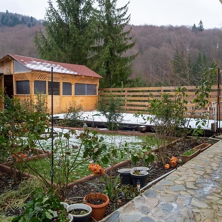 Casa Nicolas Buşteni Esterno foto