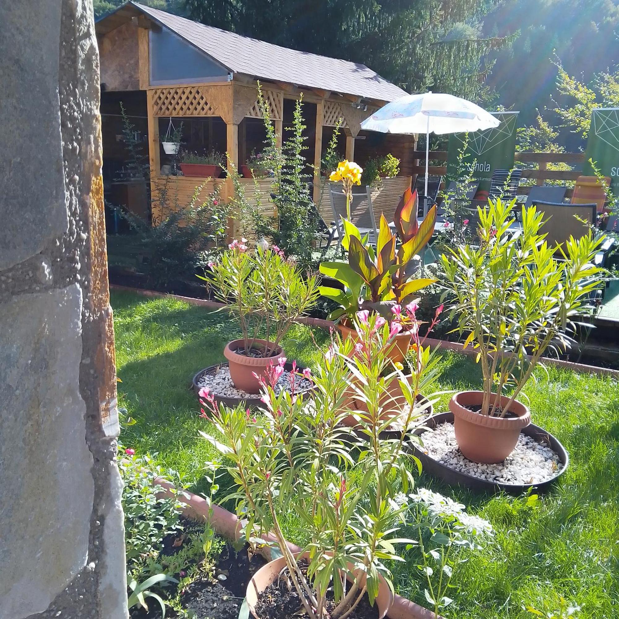 Casa Nicolas Buşteni Esterno foto