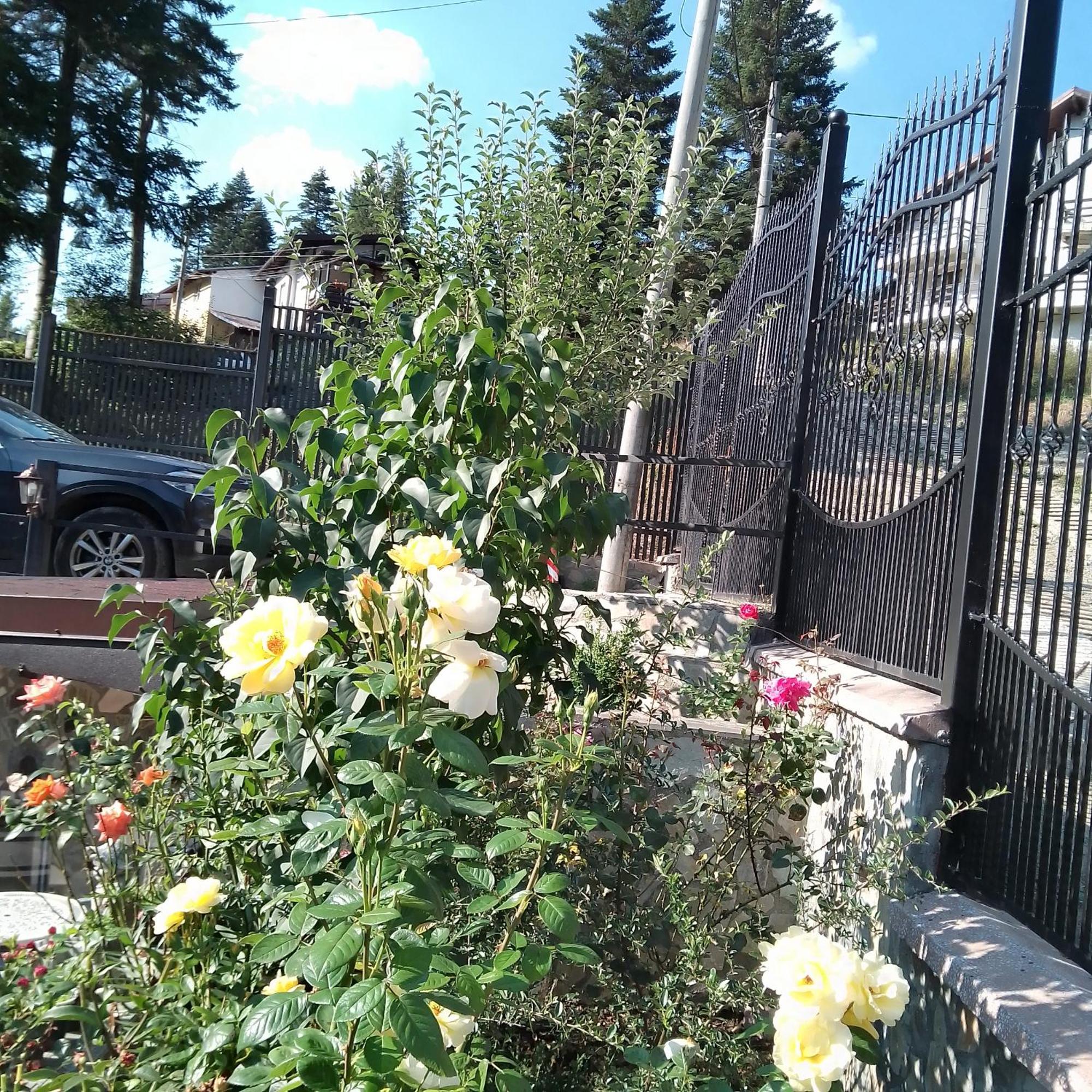 Casa Nicolas Buşteni Esterno foto